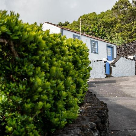 Casa Da Cisterna Villa Sao Joao  Eksteriør billede