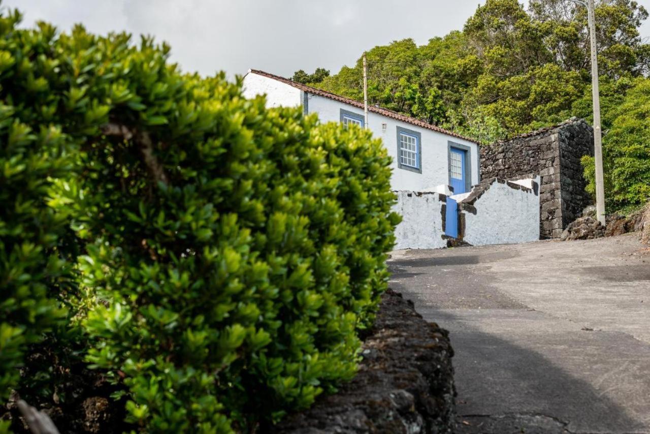 Casa Da Cisterna Villa Sao Joao  Eksteriør billede